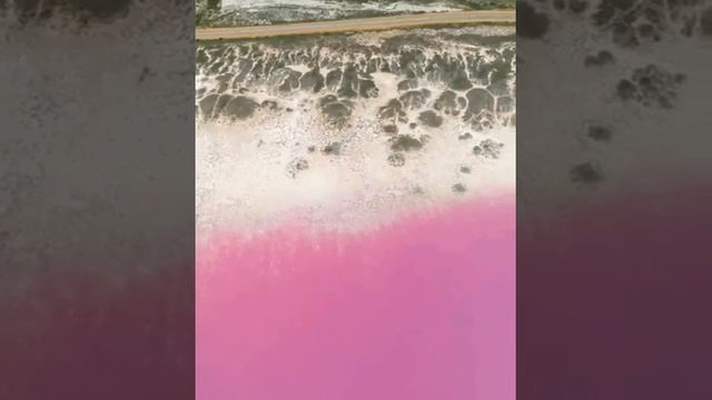 Розовое озеро в Австралии!? смотреть онлайн