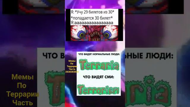 мемы по террарии #мем #игра #смешно #террария #terraria #мемы смотреть онлайн
