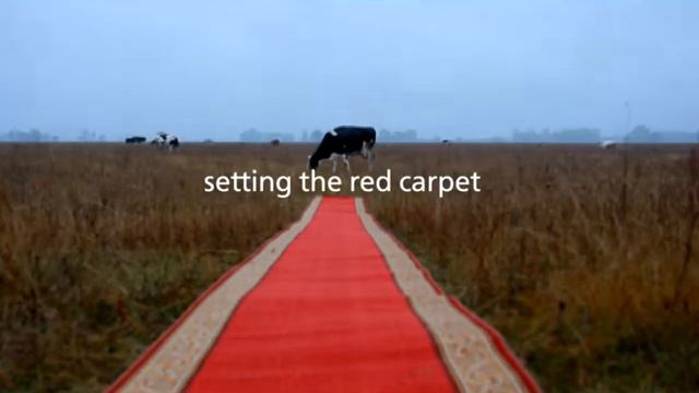 Имиджевый ролик One Pound Pictures Cow смотреть онлайн