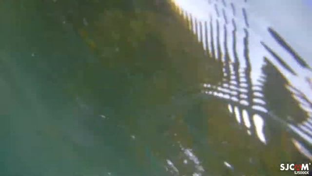 Двое в лодке во Владивостоке смотреть онлайн