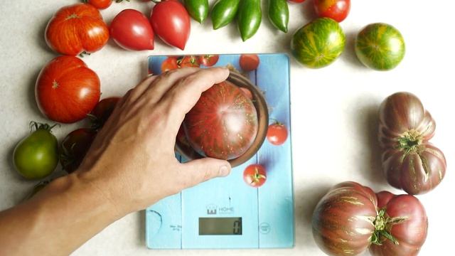 Сорт, который удивил! Томат Фестиваль Аделаиды (Томатный гном)