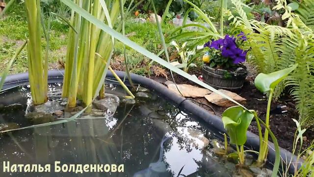 Болденкову понесло//Красим в синий//Целый день в поиске рыб смотреть онлайн