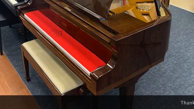 Petrof P-V Polish Walnut Grand Piano | Piano Rob Piano VLOG #Piano #babygrand #petrof смотреть онлайн