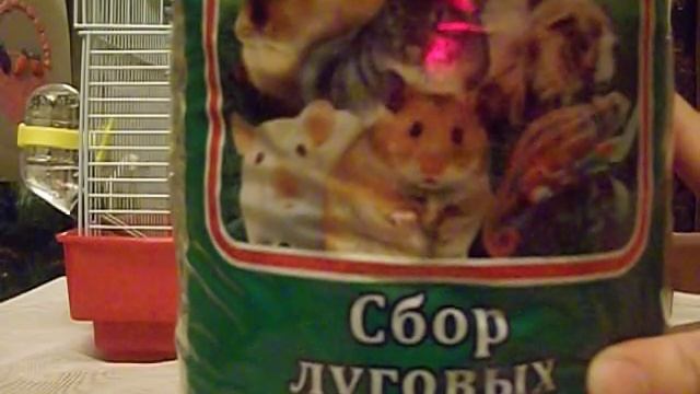 Уход за джунгарским хомяком и что для него нужно)) смотреть онлайн