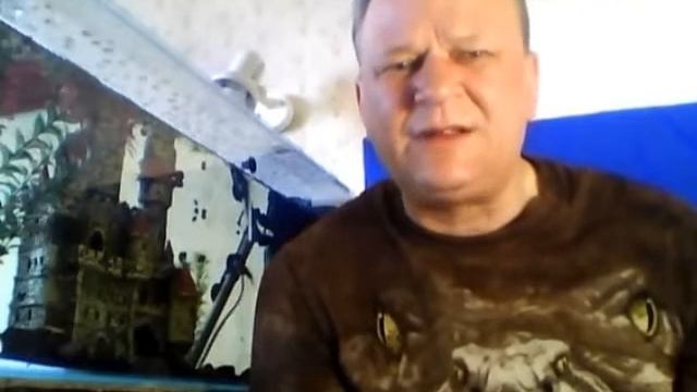 Аквариумные раки содержание и уход. смотреть онлайн