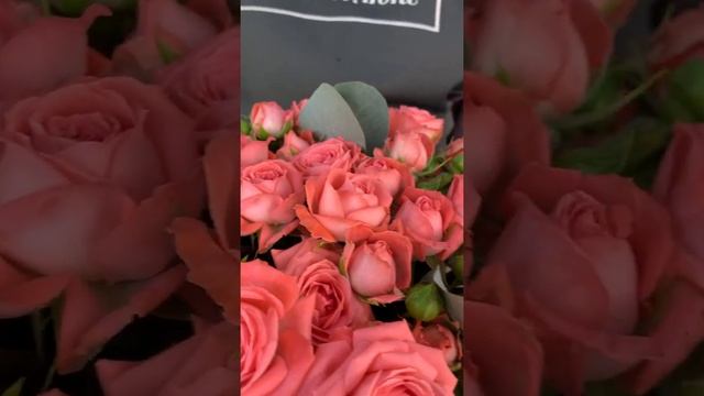 Великолепный век.mp4