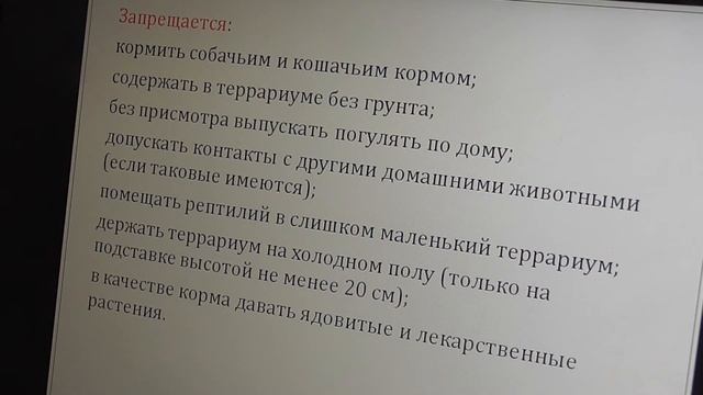 Чем кормить сухопутную черепаху ?? смотреть онлайн