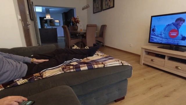 СМЕШНАЯ собака и СМАРТФОН !!! ПРИКОЛЫ !!! Щенок МОПСА. смотреть онлайн