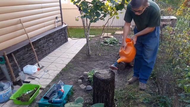 Опята на даче смотреть онлайн