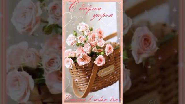#доброеутро #funnyvideo #respect #розы смотреть онлайн