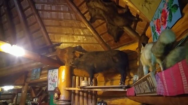 Закарпатье.Солнечная поляна/Transcarpathia. Sunny meadow смотреть онлайн