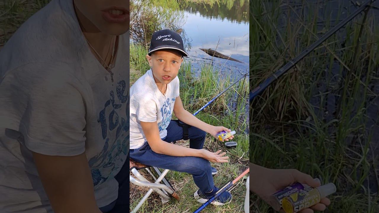 Какой запах любит карась? #ловлякарася #поплавок #поплавочнаяудочка #приманкадлярыбы #fishing #топ смотреть онлайн