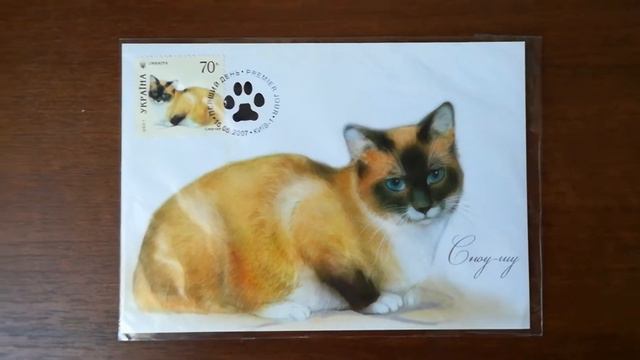 Картмаксимум с кошкой Сноу-шу. смотреть онлайн