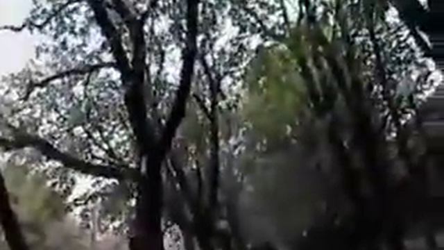 Jonas Mekas 365 Films 11 JAN 2007 смотреть онлайн