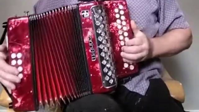 The Sally Gardens Reel on button Accordion смотреть онлайн