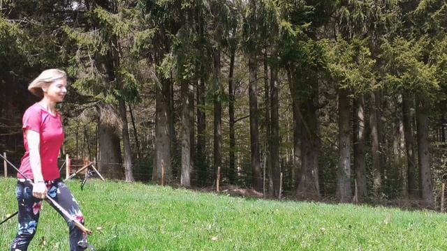 Nordic Walking lernen in 4 Schritten|nordic sports tutorial 4 steps|sports and depression смотреть онлайн