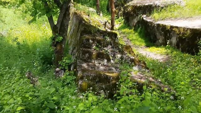 Винница; Ставка Вервольф/Музей Верфольф/Ставка Гитлера смотреть онлайн