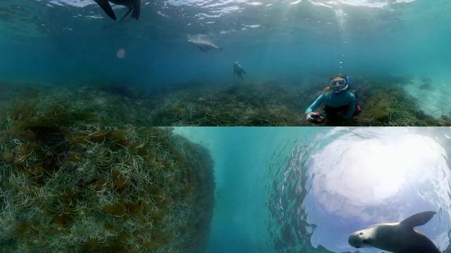 Port Lincoln, South Australia 360 VR Experience смотреть онлайн