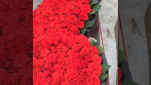 Сердца из 1000 роз!! смотреть онлайн