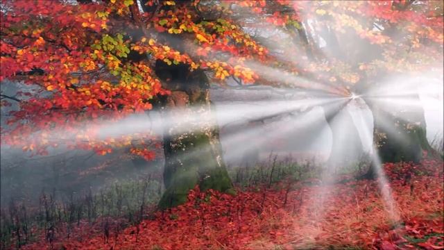 А. Толстой «Осень. Обсыпается весь наш бедный сад…» смотреть онлайн