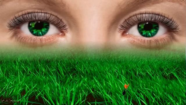 Сколько в мире красивых глаз! смотреть онлайн