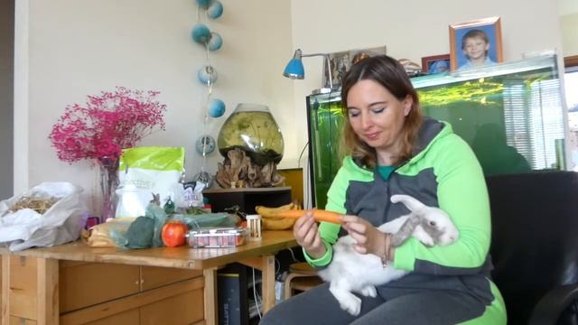 Простой Уход за Домашним Кроликом - Советы Начинающим. Что любит есть наш кролик. Клетка, туалет смотреть онлайн