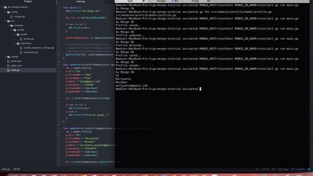Tutorial CRUD. Golang & MongoDB #6 смотреть онлайн