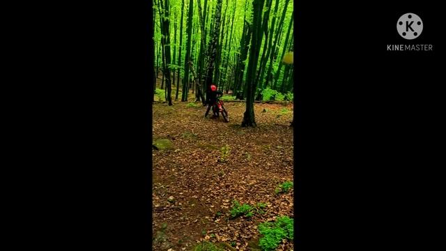 kaya 125 смотреть онлайн