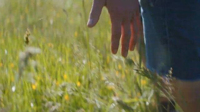 JARING BRUNIA - NATUURLANDBOUW смотреть онлайн