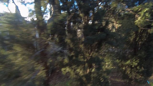 Днепр санаторий. Корпус 8. Часть 5. ЮБК. Гаспра. 27.01.2024г. смотреть онлайн