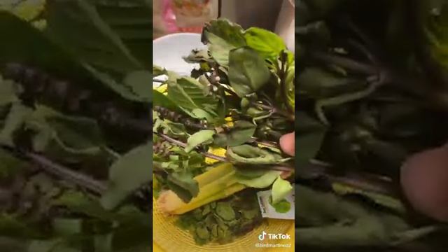 to Erika bird Martinez please say lots of prayers смотреть онлайн