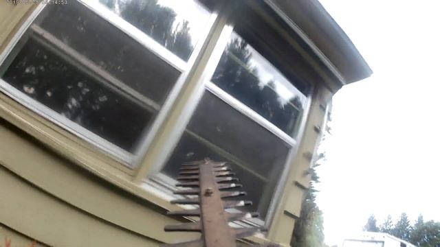 Hedge Trimming (POV)