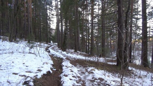 Чёрная речка. смотреть онлайн