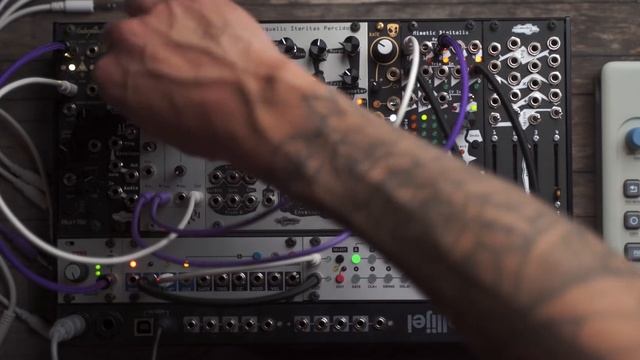 2020 Modular setup + Model:Cycles Jam // Loquelic Iteritas Percido Overview смотреть онлайн