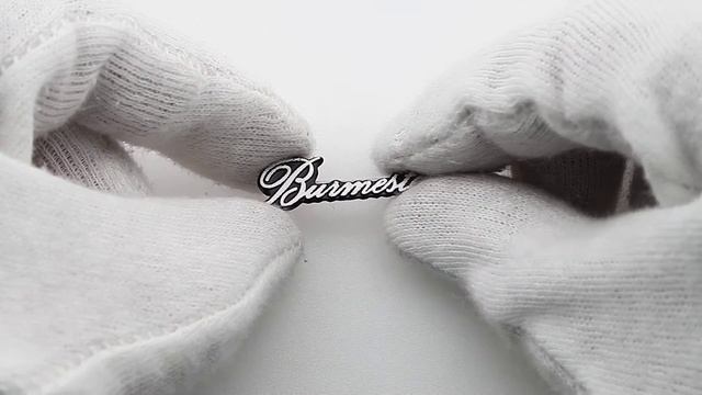 Эмблема на динамики Burmester смотреть онлайн