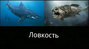 Мегалодон против Дунклеостея
