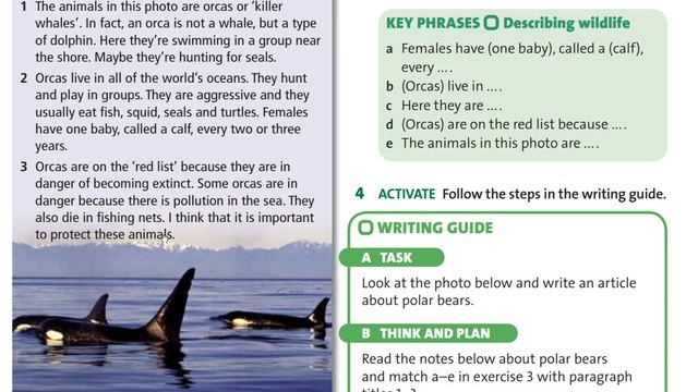 A Description Of A Wildlife Photo 6cl 24.11.2020