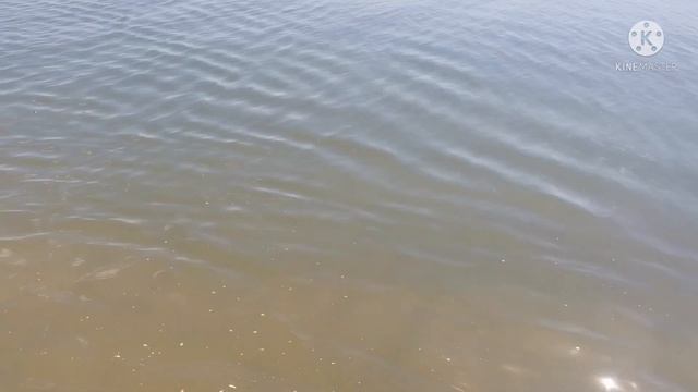 ✅ Азовское море. Пляж - Ясненская переправа. Медузы. Мечты. Саликовы. 9 июля 2021 г. смотреть онлайн