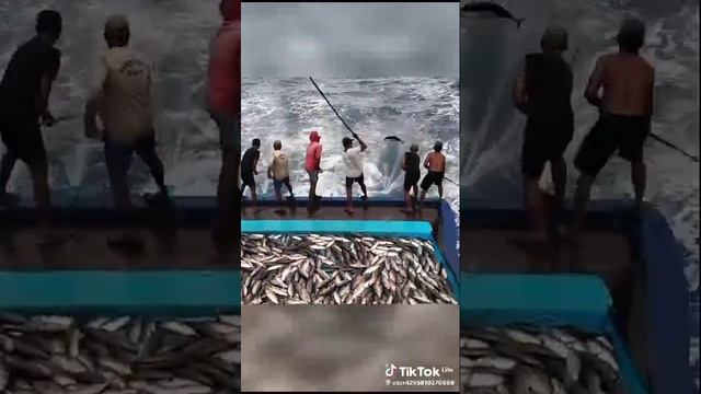 VID-20231204-WA0010.mp4