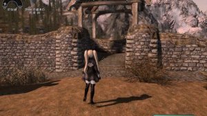 【Skyrim SE】ツインテールが華麗に動く『Yundao Hair with physics SSE』を使ってみた