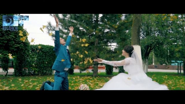 Клип свадебная прогулка Станислава и Дарьи 20 10 2018 смотреть онлайн
