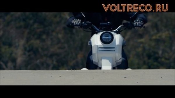 Трехколесный электроскутер Doohan iTank Voltreco.ru