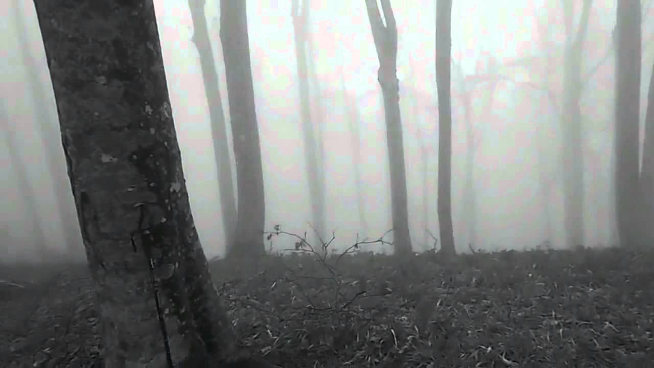 Deadly fog in the mountains смотреть онлайн