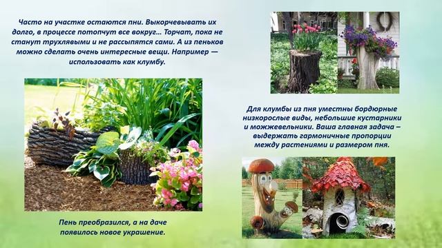 Интересные идеи дачного дизайна смотреть онлайн