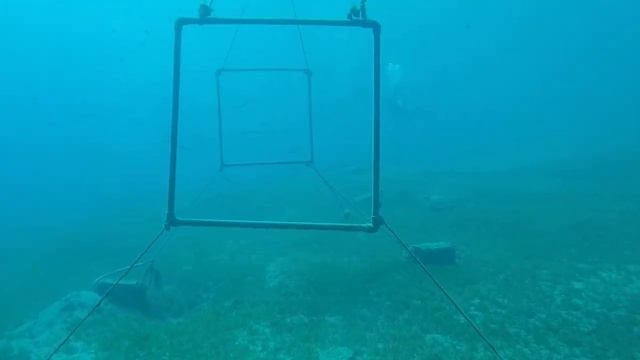 Вместо гротов ) смотреть онлайн