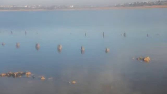 Экспедиция на Куяльник (декабрь 2017 г.) смотреть онлайн