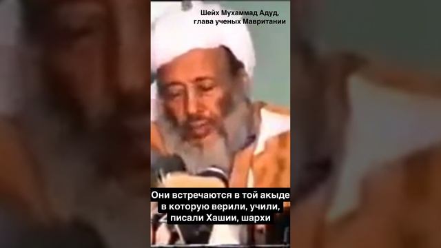 ПРИЗНАНИЕ БЫВШЕГО АШАРИТА и главы ученых Мавритании шейха Шанкити смотреть онлайн