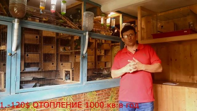 Сколько можно заработать на разведении волнистых попугаях?Сколько стоит содержать мой питомник? смотреть онлайн