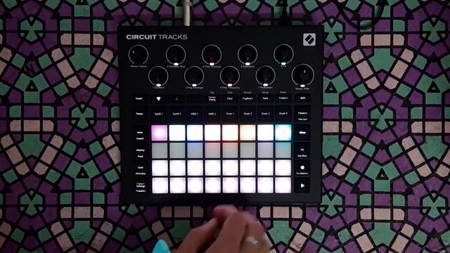 Demo FOUR - Organizm - Novation Circuit Tracks Pack by LDM Designs смотреть онлайн