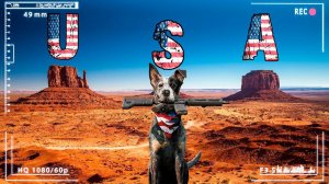 Большое мото путешествие по США | Эпизод первый | Америка на мотоциклах